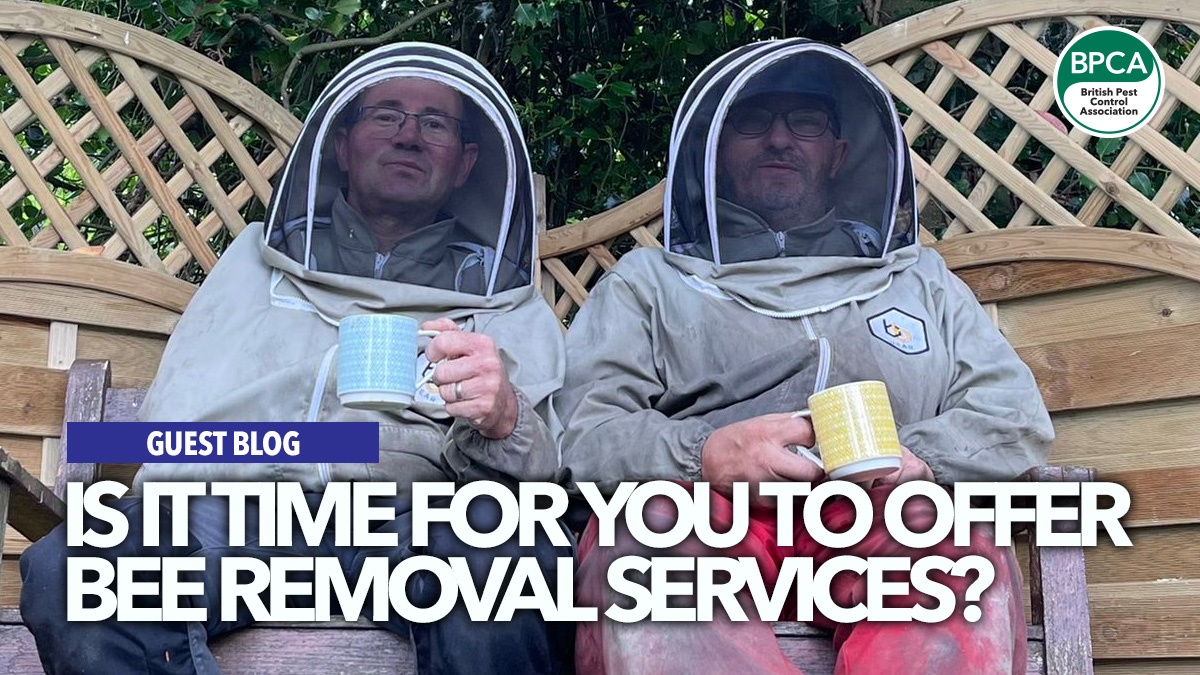 bee-removals-abm-pest-control-hero